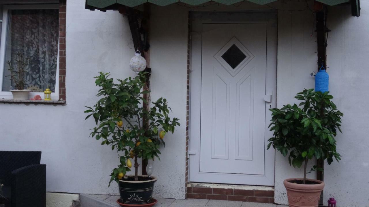 Pension Und Gaestehaus Paffrath Grossbrembach Εξωτερικό φωτογραφία